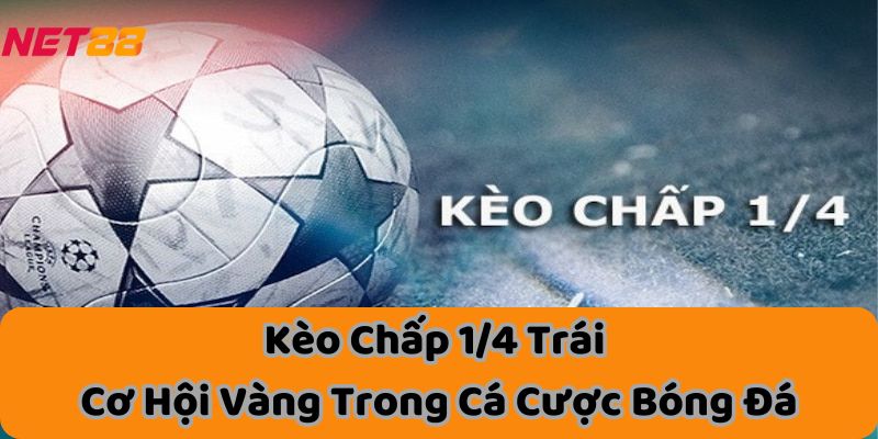 Kèo Chấp 1/4 Trái - Cơ Hội Vàng Trong Cá Cược Bóng Đá