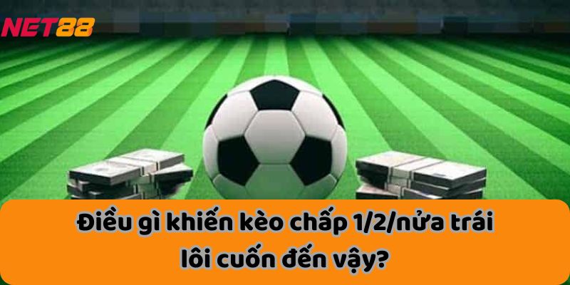 Điều gì khiến kèo chấp 1/2/nửa trái lôi cuốn đến vậy?