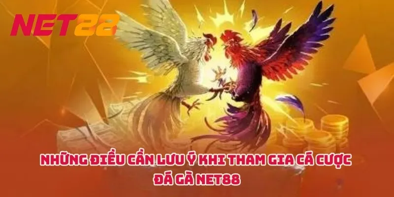 Những điều cần lưu ý khi tham gia cá cược đá gà NET88