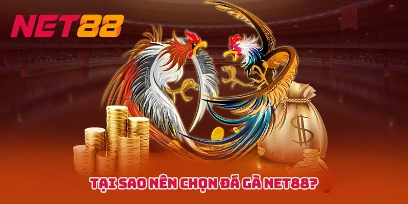 Tại sao nên chọn Đá gà NET88?